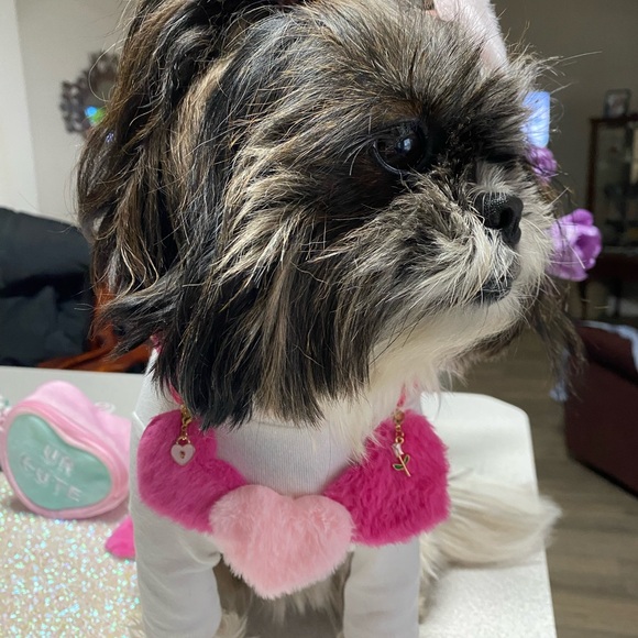 Pet necklace - Picture 5 of 5